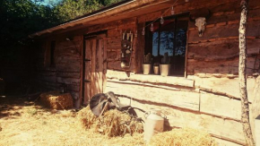 La Cabane Aux Loups, Crépy-En-Valois